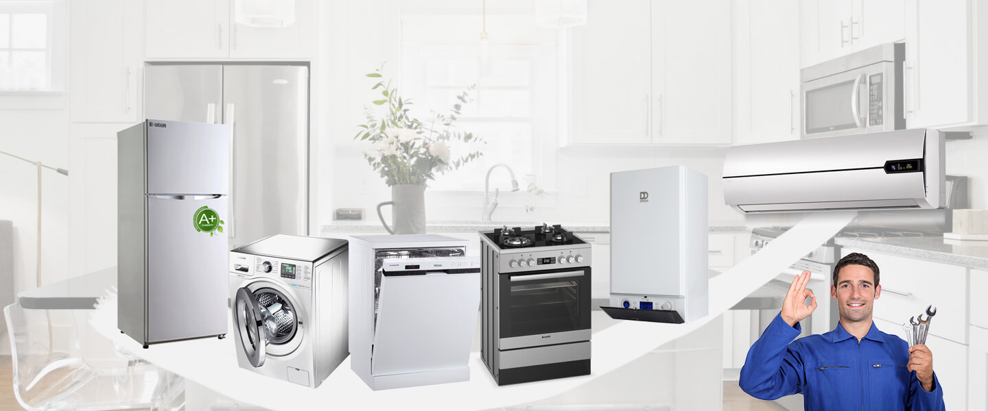 Kaynaşlı Electrolux Servisi